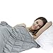 WarmHug Weighted Blanket (15lbs，48