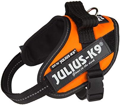 julius k9 harness size mini