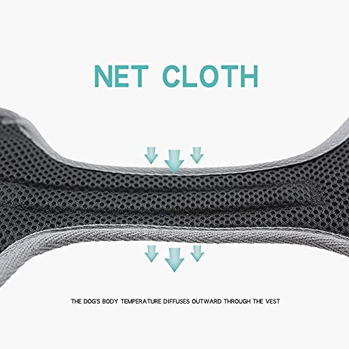 Dog Harness with Leash, Adjustable with Reflective Strips for Medium Large Dogs - Image 4