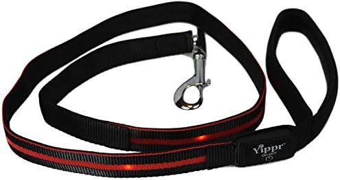 Yippr LED Dog Leash - USB Rechargeable Light Up Dog Leash - 7 Colors (Blue, Green, Orange, Pink, Red, Yellow, White) - Dog Leashes With Light Increases Safety for Walking Your Pet