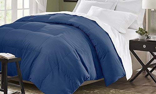 Blue Ridge Home Fashion Microfiber Light Weight Solid Down Alternative All Season Comforter - Hypoallergenic Polyester Fill, Full/Queen