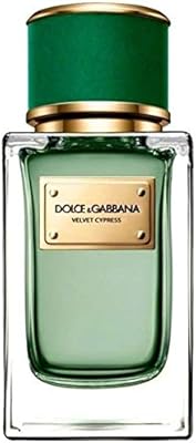 dolce gabbana velvet cypress