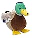 Webkinz Mallard Duck