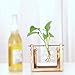 Kingbuy Desk Accessories Glass Planter Bulb Vase with Retro Solid Wooden Stand and Metal Swivel Holder for Office Desk Wedding Decor with Retro Wooden Stand (1 Bulb Vase)thumb 3