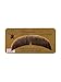 Rubie's Basic Character Mustache Human Hair Medium Brown