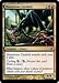 Magic: the Gathering - Monstrous Carabid - Alara Reborn