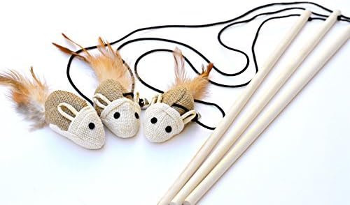 elastic string cat toy