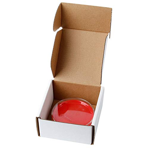 image for RUSPEPA 25 Pack Shipping Boxes Attached 25 PCS Thank You Stickers, Sma