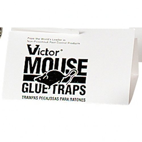Victor M320 Holdfast Glue Board (72 per case), Full Case Victor M320 Holdfast Glue Board (72 per case), Full Case