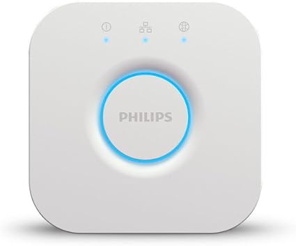 google home hub philips hue