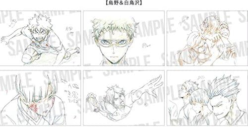 Amazon ハイキュー アニメ原画展 ファイナルセット カット袋入り原画ポストカードセット 烏野白鳥沢 大阪会場追加分 アニメ 萌えグッズ 通販