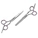 Elfina Hair Cutting Shears, 6.0