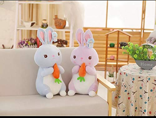 A Little Swag Cute Set of 2 Rabbit Bunny with Carrot Soft Animal Figure Plush Stuffed Toy for Kids.(25 cm)