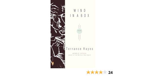 Wind In A Box Amazon Ca Hayes Terrance Books