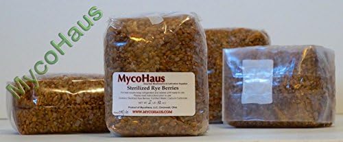 MYCOHAUS sterilized rye grain berries 2lb bags mushroom substrate 6 pack