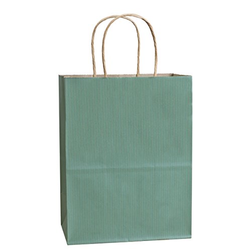 Shopping Bags 8x4.75x10.5