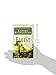 The Forest: A Novel