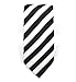 Striped Necktie Set (Black/White)-412-N