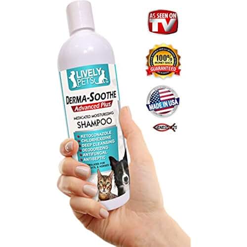 cat shampoo mites
