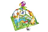Fisher-Price Music and Lights Deluxe Gym, Rainforest (Baby Product)