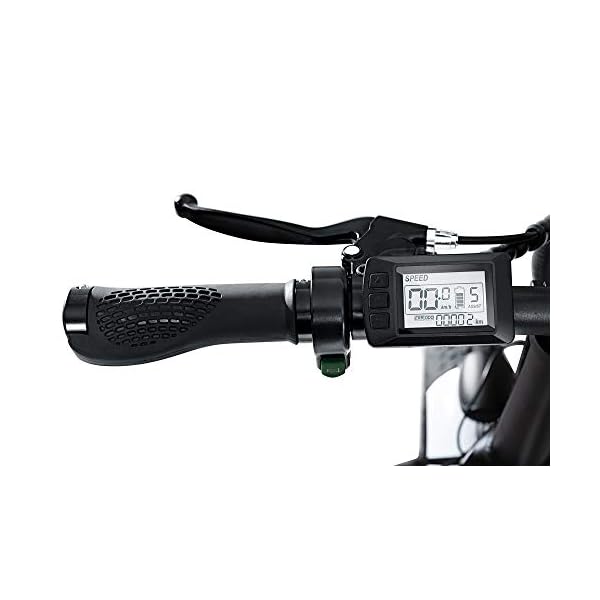 THE ONE Fat Bike ELETTRICA, Bici Unisex Adulto, Nero, no size -  ilMonopattinoElettrico.com