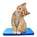 Gardzen Garden Kneeling Pad - for Gardening, Baby Bath, Yoga, Pilates, Exercise, 18