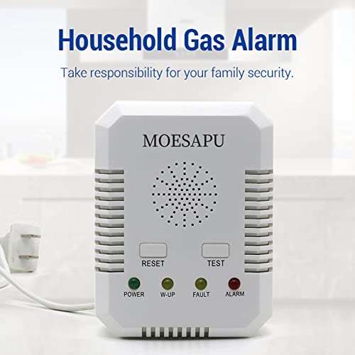 Plugin Carbon Monoxide Detector and Natural Gas Detector Alarm with