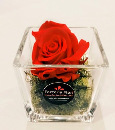 ROSA PRESERVADA ROJA EN CUBO DE CRISTAL+CAJA ROJA DE NESTLÉ 100GR.: Amazon.es: Jardín
