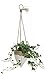Creative Co-Op Medium White Stoneware Hanging Planter with Jute Rope
