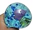 Curious Minds Busy Bags Sea Animal Water Snake Wiggler Bundle - Slippery Tube Toy Novelty Trick