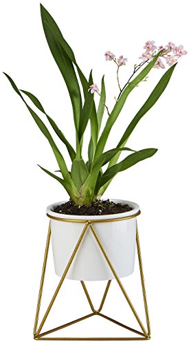 Planter Pot Indoor, Flowerplus 4.33 Inch White Ceramic Medium Succulent Cactus Flower Plant Round Bowl with Iron Rack Holder and Plants Sign for Indoors Outdoor Home Garden Kitchen Decor (Golden)