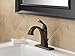 Delta Faucet Dryden Single-Handle Bathroom Faucet with Diamond Seal Technology and Metal Drain Assembly, Venetian Bronze 551-RB-DST