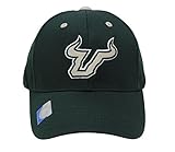 Captivating Headgear Men's Champ Fashion Embroidered Cap