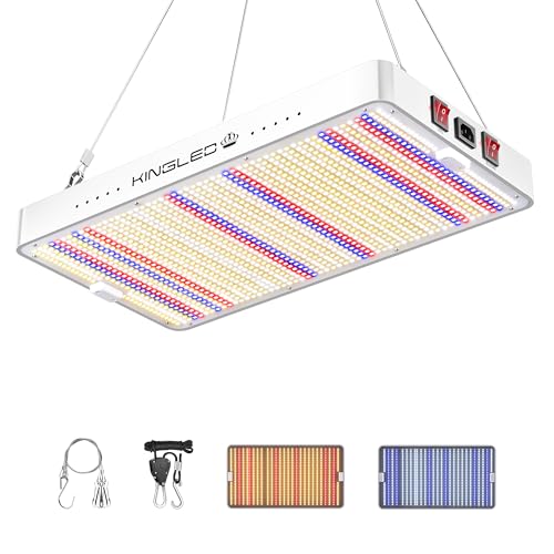 KingLED KP3000 Grow Light