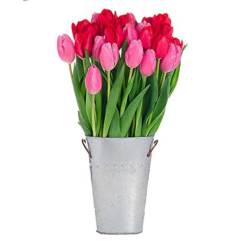 Stargazer Barn - Pucker Up Bouquet - 2 Dozen Fresh California Grown Tulips with Vase