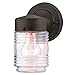 Westinghouse 6688200 One-Light Outdoor Jelly Jar Wall Fixture, Oil Rubbed Bronze Finish with Clear Ribbed Glass