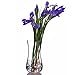 Hand Painted Blown Glass Flower Vase by Sonoma Artisan; Elegant Design with a Modern Twist; Use to Display Beautiful Bouquets or as a Decorative Accent; Unique & Special Gift Idea for Many Occasions
