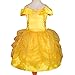 Dressy Daisy Girls' Belle Princess Costume Halloween Party Fancy Dresses FC017