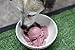 Smart Scoops Goat's Milk Ice Cream Mix for Dogs- Blueberry - Freeze it at home