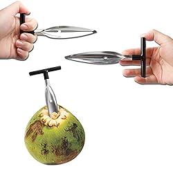 YeeBeny Coconut Opener Tool Stainless Steel Coconut
