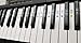 Color Piano Keyboard Stickers- Removable, Transparent, for White & Black Keys