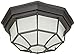 Trans Globe Lighting Trans Globe Imports 40582 BK Traditional One Light Flushmount Lantern from Benkert Collection in Black Finish, 11.00 inches, 5-Inch