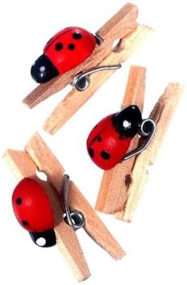 Red Ladybird Craft Pegs (Pack of 20)