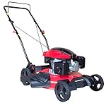 PowerSmart DB8621C Gas Push Mower