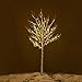 Ecolinear Prelit Birch Tree 96 LEDs Light Silver Twig Warm White White Branches (6 Feet) Home Festival Party Christmas Indoor and Outdoor Use