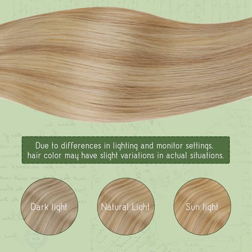 RUNATURE Clip in Extensions Natural Dark Blonde with Light Blonde Straight Hair Extension with Clip in Extensions Natural Hair with Clips 20 Inch/50 cm 7 Pieces 120g #16P24
