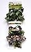 MagNaturals 37101 Jungle Vine Bridge