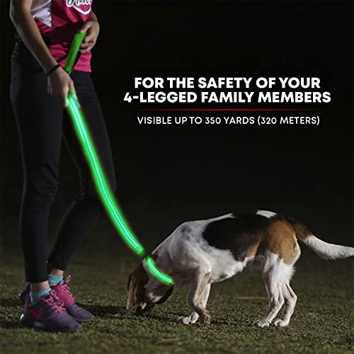 ILLUMISEEN LED Light Up Dog Leash Ultra High Visibility Up to 350