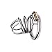 Master Series The Pen Deluxe Stainless Steel Locking Chastity Cage