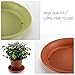 Apipi 6 Pcs Plant Saucer Drip Trays, Home Garden Flower Plant Container Plastic Pot Tray Palletsthumb 2